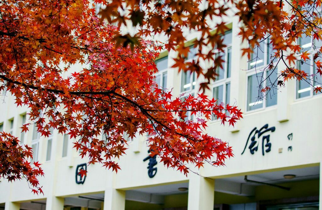 AWBWô^ֵģ҇ЎpһӋAW