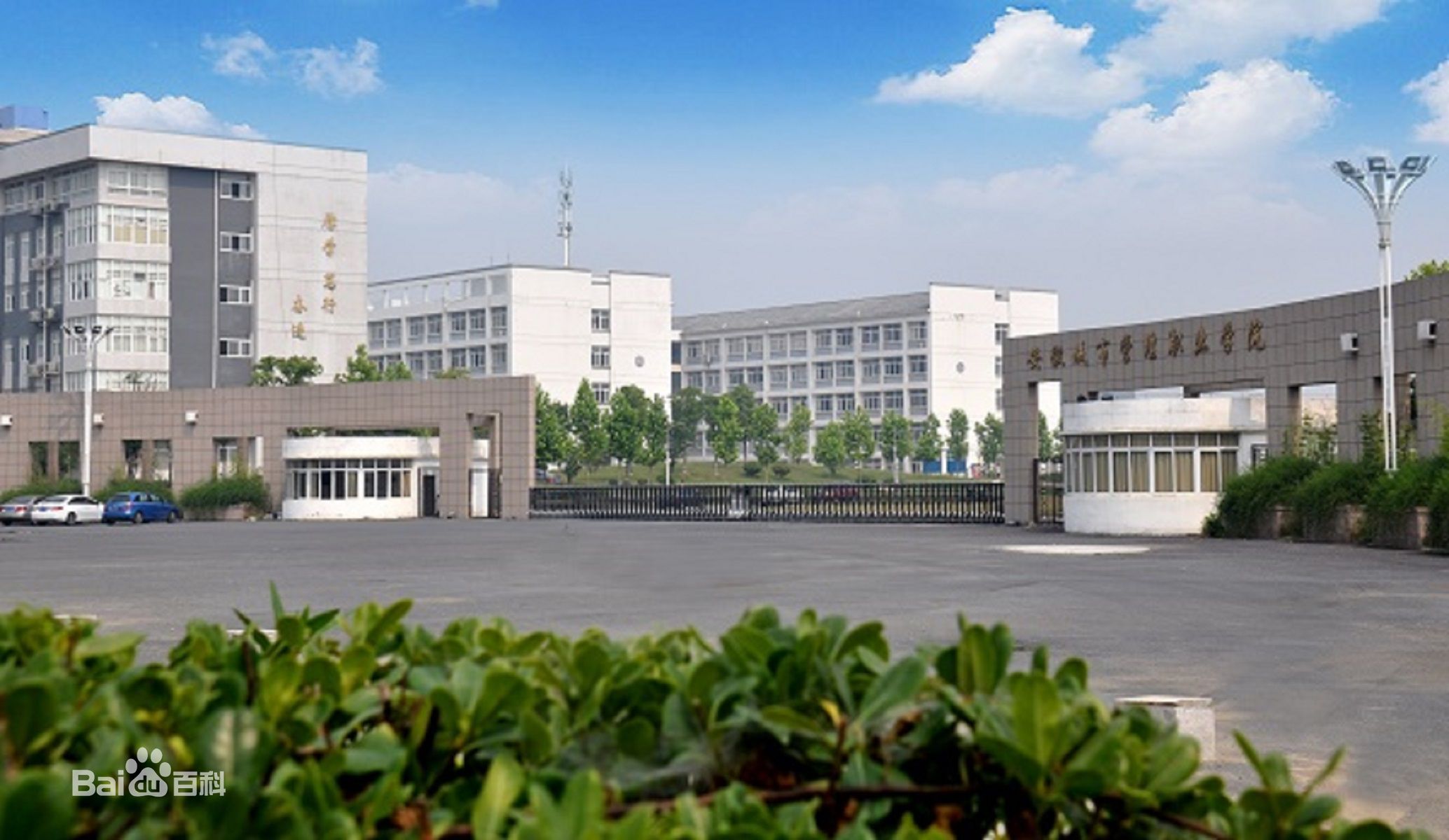 ճйIWԺɫIЩጣIôӵַģ