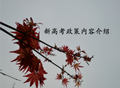 2023¸߿߳t(ni)ݽB¸߿Ƿ(hu)ȡ(f)x